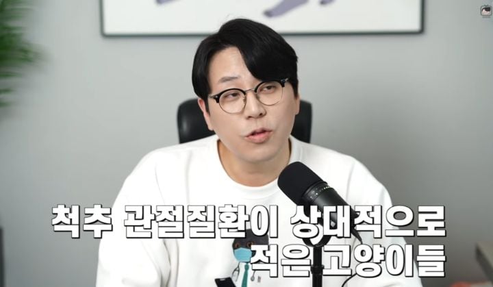 수의사가 뜯어말리는 sns 광고 반려동물 용품 | 인스티즈