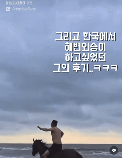 돈 내고 말타기 체험 할 수 있나요 ⋯? | 인스티즈