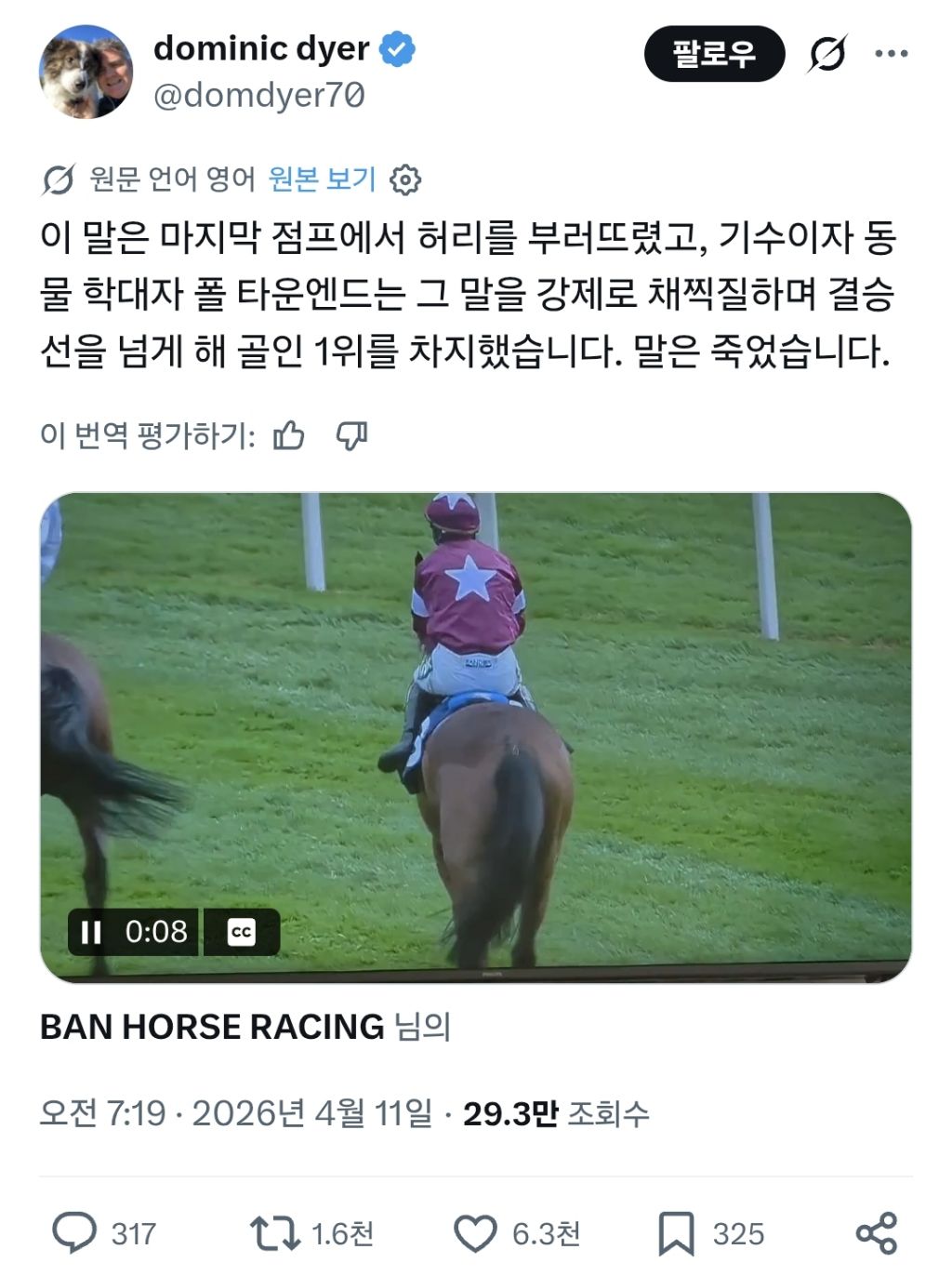 얼른 안락사 시켜 | 인스티즈