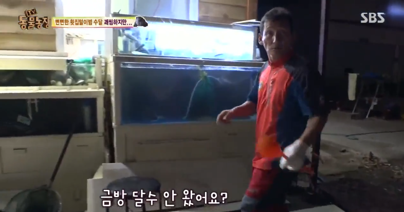 매일 생선털리는 횟집사장님 (Feat.달수) | 인스티즈