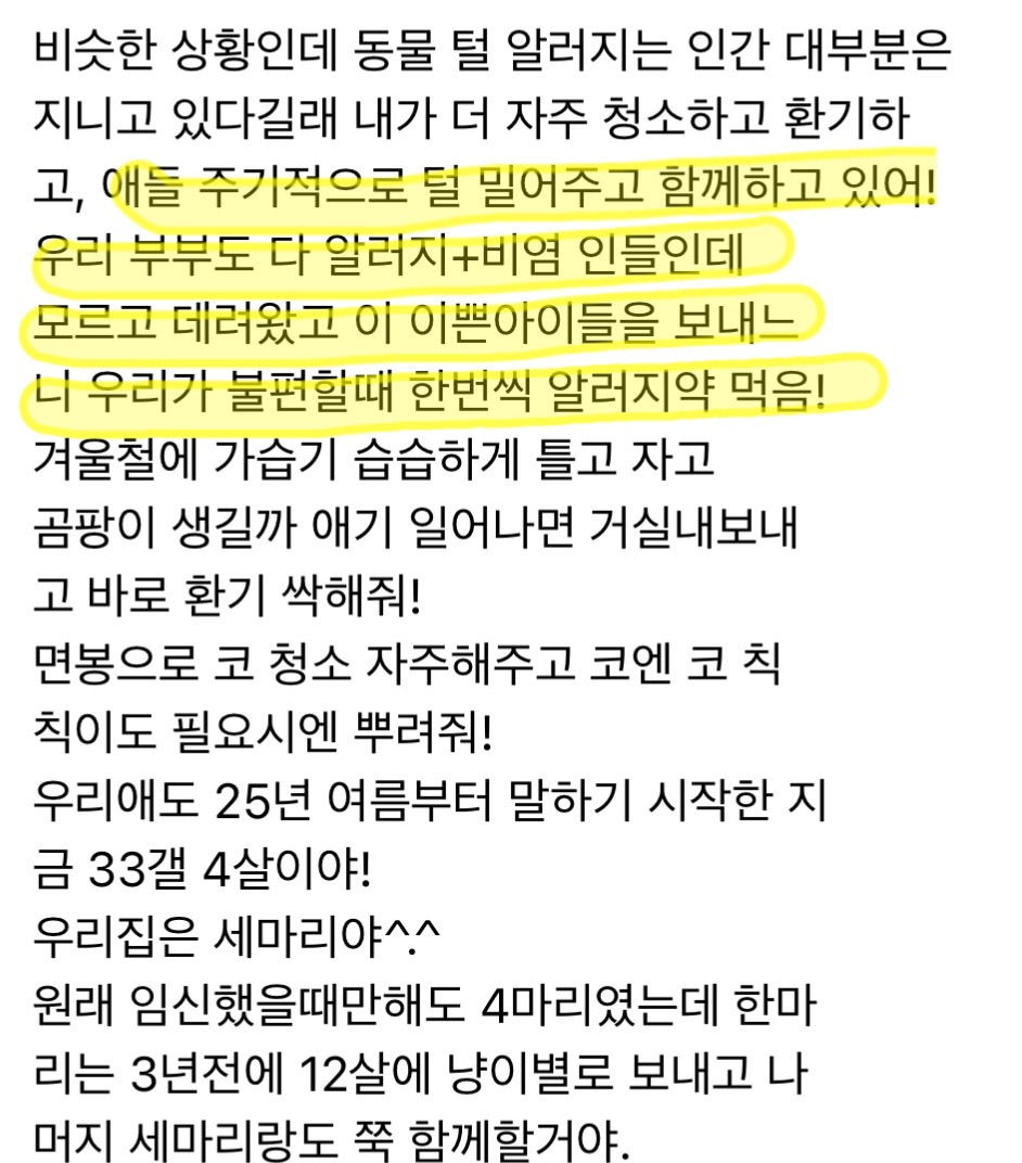 고양이 키우는데 내가 낳은 아이가 고양이 알러지 있을 때 | 인스티즈