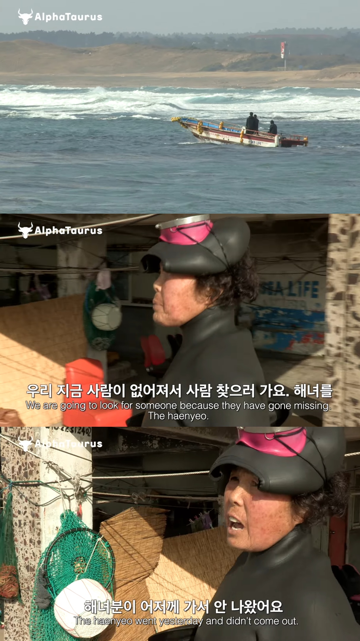 어제 들어가서 오늘까지 안 나온 제주 해녀를 찾기 위해 바다로 들어가는 해녀들.jpg | 인스티즈