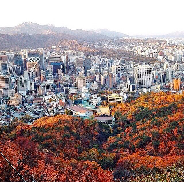 작은 평수라도 서울에서 살기 VS 좀 더 넓은 평수로 지방에서 살기 | 인스티즈