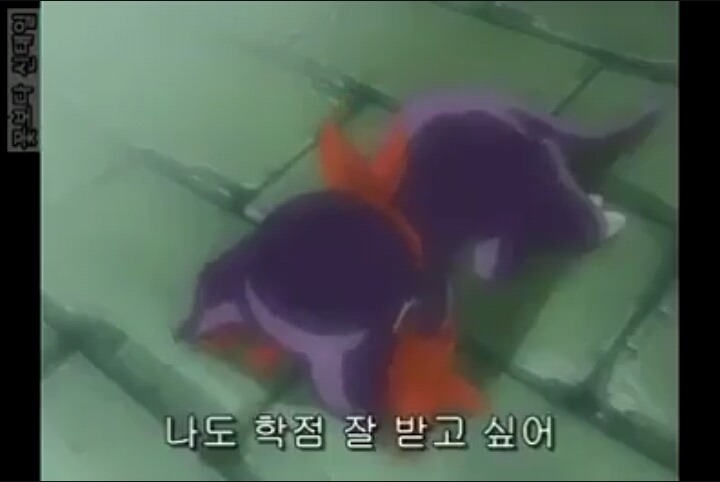 대학생들이 계절학기를 듣게 되는 과정.jpg | 인스티즈