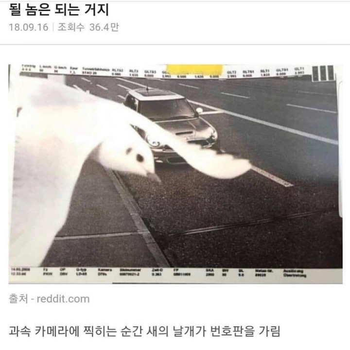 될 놈은 되는 거지 | 인스티즈