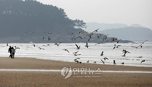 한국의 시민의식.jpg | 인스티즈