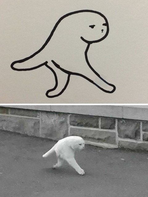 완벽한 고양이 묘사.jpg | 인스티즈