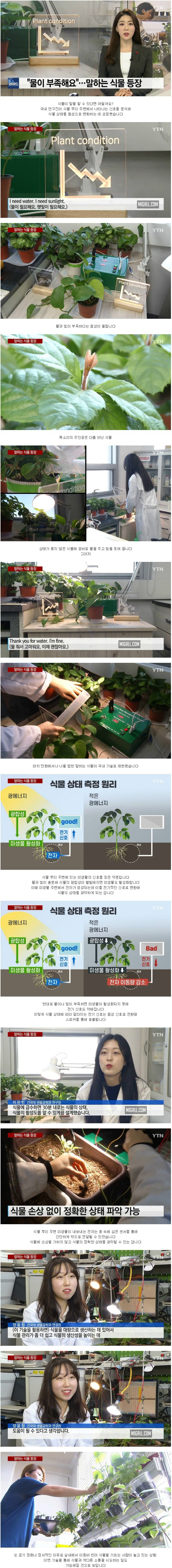 말하는 식물 등장 | 인스티즈