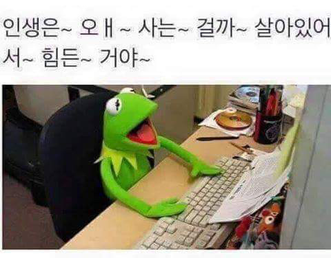 공부하기 싫은 학식이들 전용 짤방 모음.jpg | 인스티즈