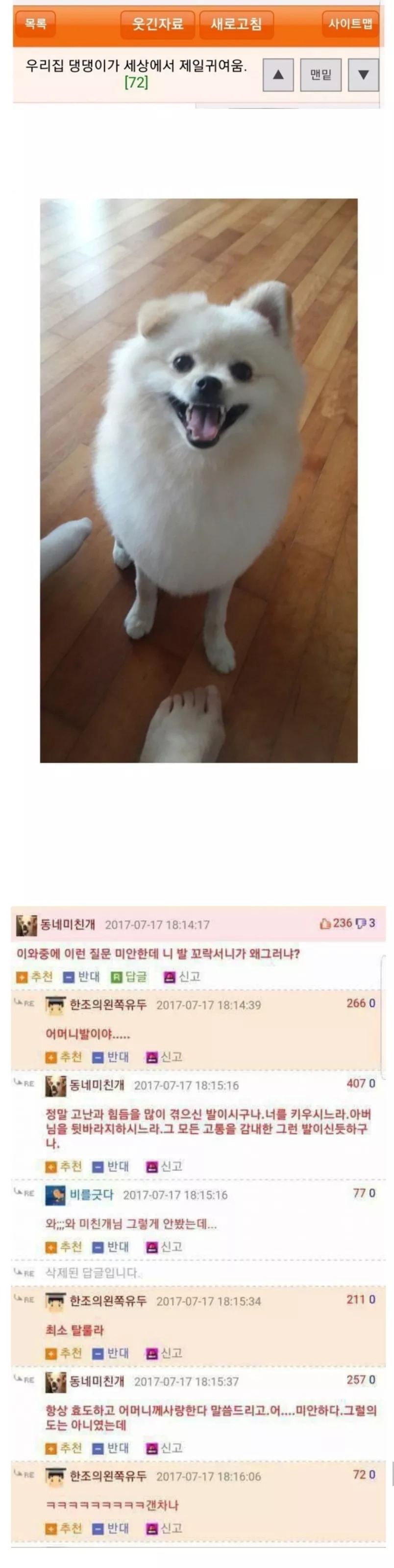 탈룰라 시리즈.jpg | 인스티즈