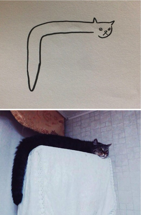 완벽한 고양이 묘사.jpg | 인스티즈