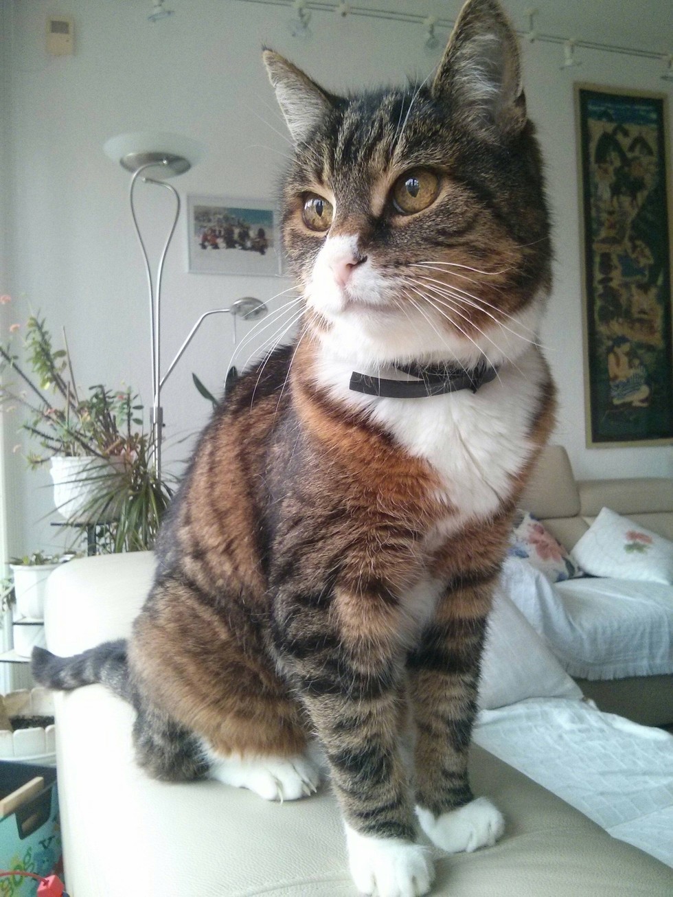 25살 청년의 21년지기 친구.jpg | 인스티즈