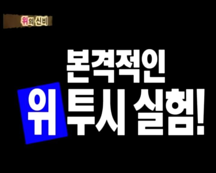 [인체탐험대] 슈주멤들의 '위'의 신비 실험 | 인스티즈