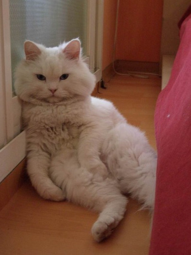 머리 밤에 감기 vs 아침에 감기 | 인스티즈