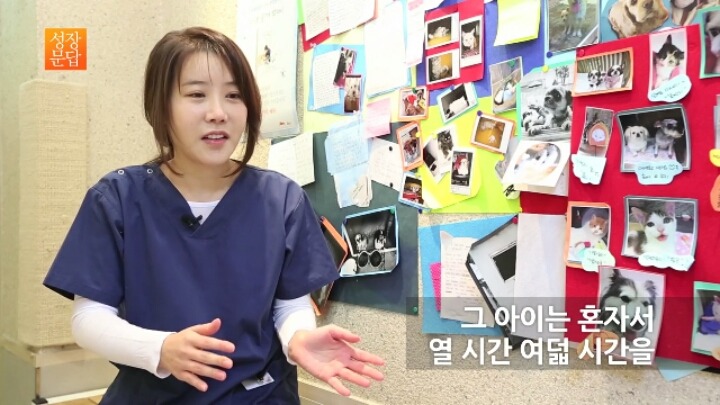 반려동물 키우기를 쉽게 생각하는 사람이 반드시 들어야 할 대답 | 인스티즈