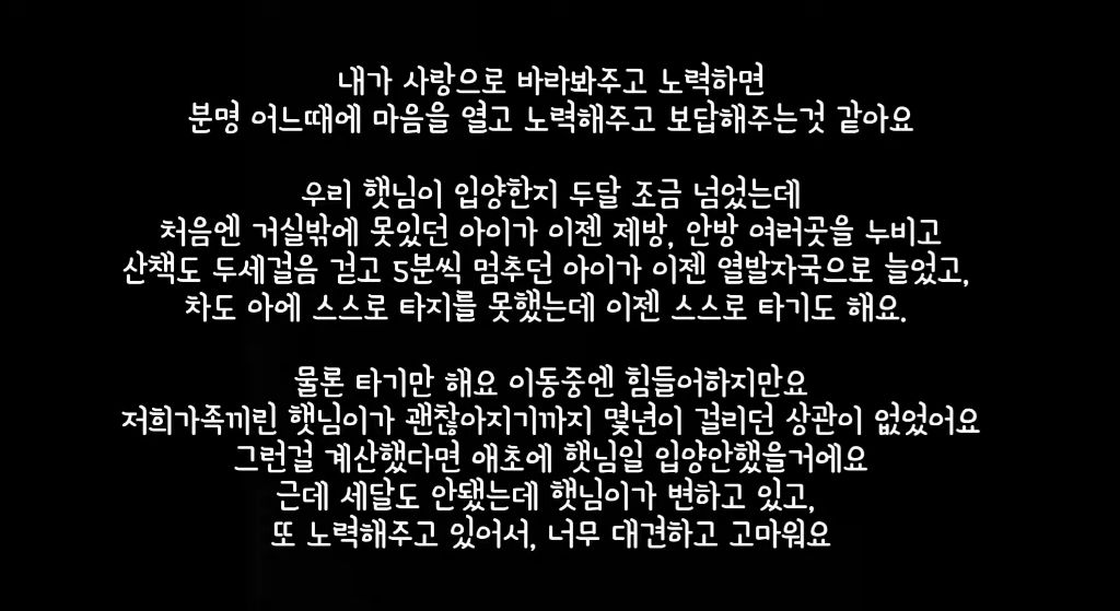 작년 여름 홍수에 목줄에 묶여 도망도 못가고 극적으로 구조된 강아지 기억나??? 근황떴어 | 인스티즈
