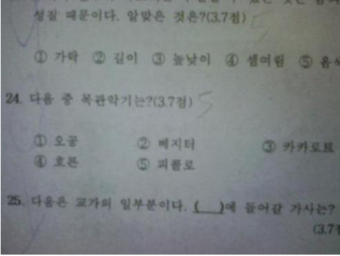 흔한 문제지의 심리전 | 인스티즈