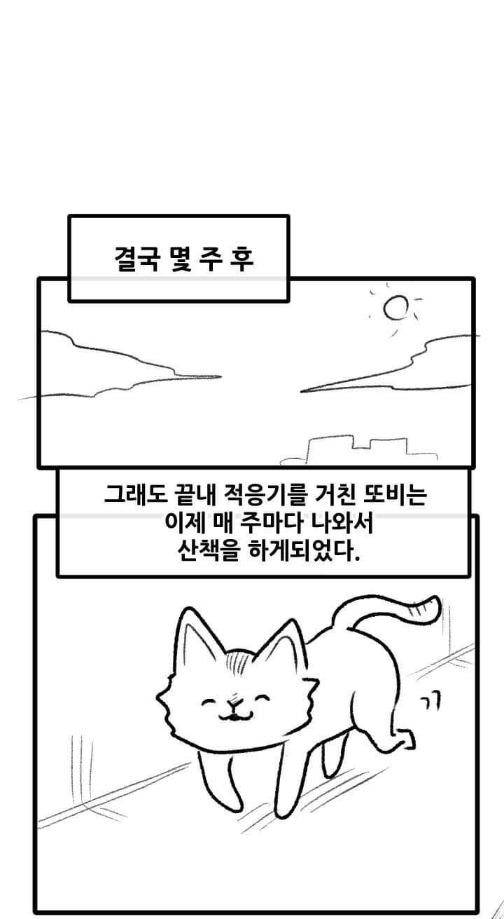 우리집 고양이 이야기.manhwa | 인스티즈