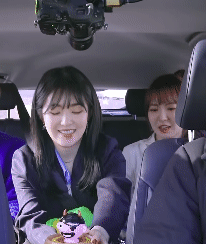 아이린의 기묘한 자동차 여행.gif | 인스티즈