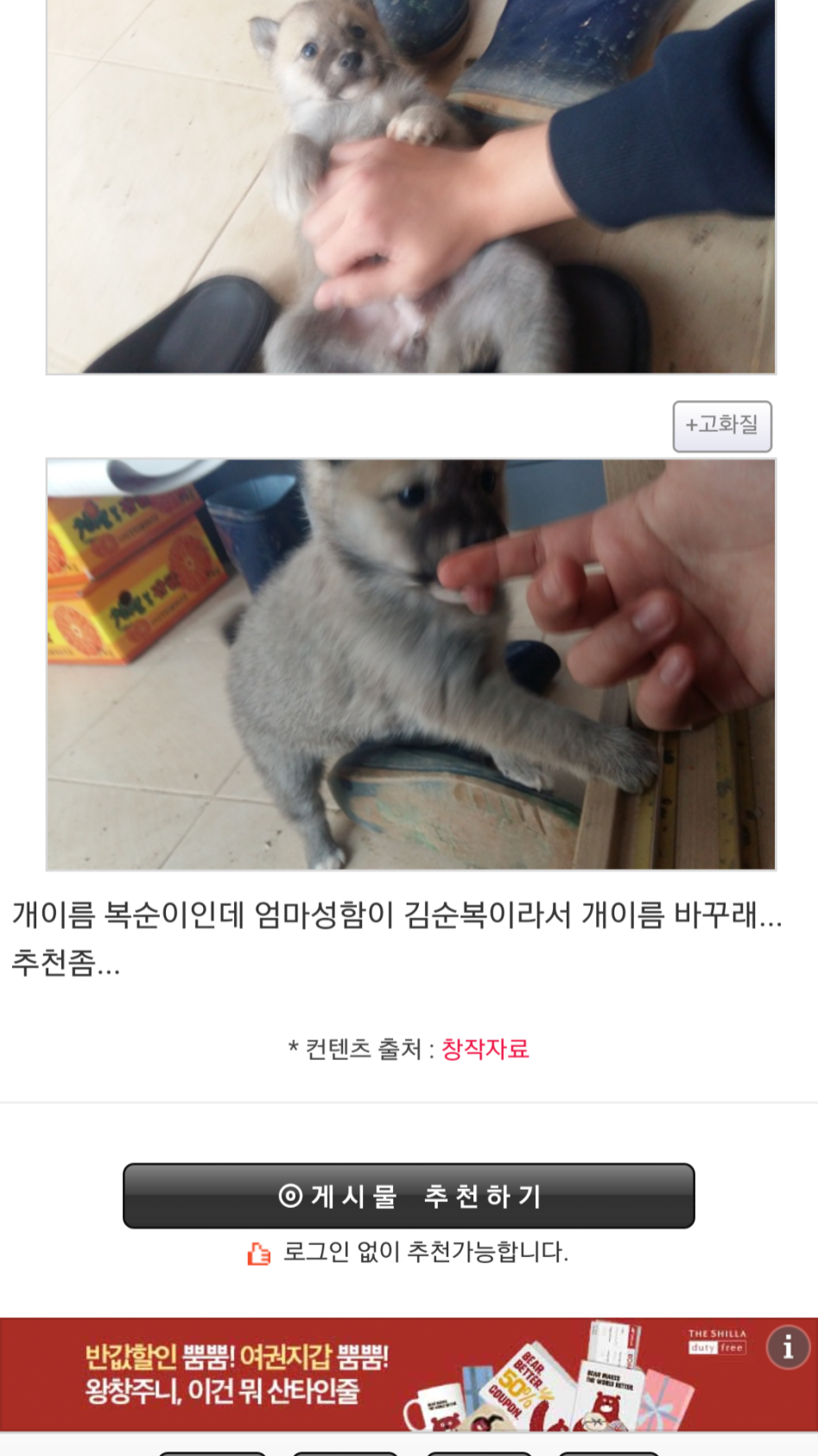 탈룰라 시리즈.jpg | 인스티즈