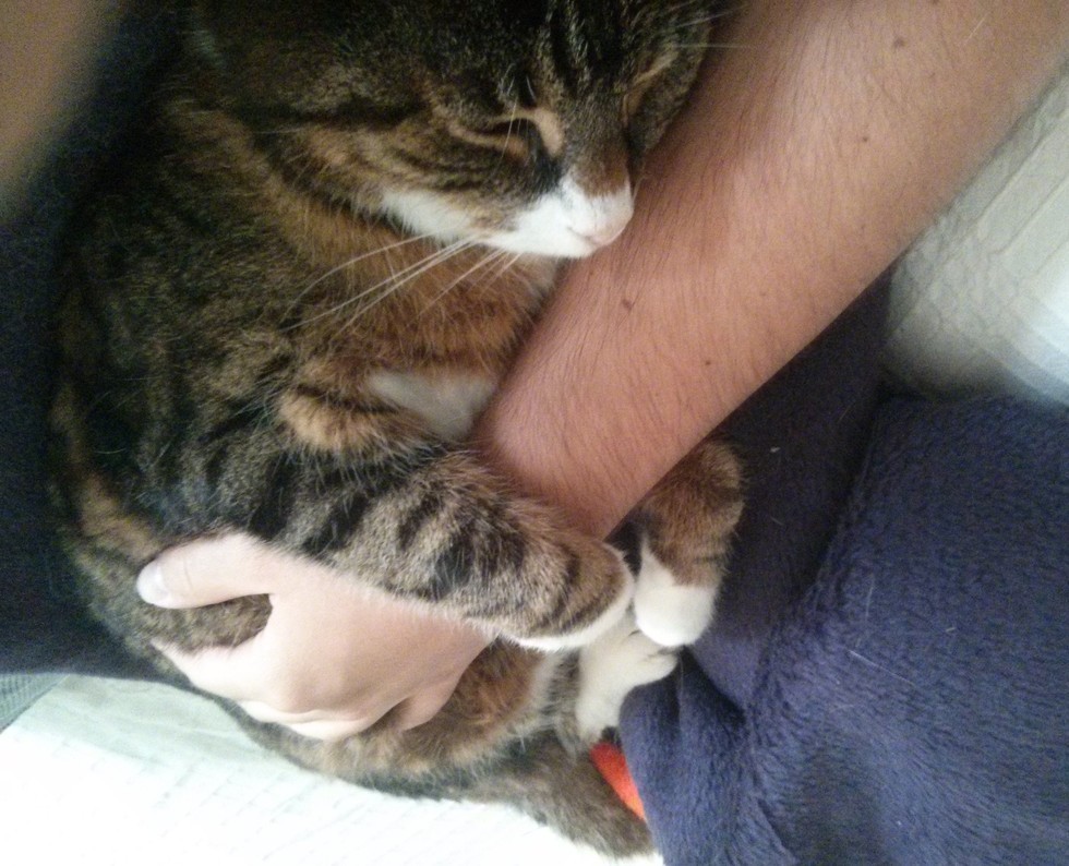 25살 청년의 21년지기 친구.jpg | 인스티즈