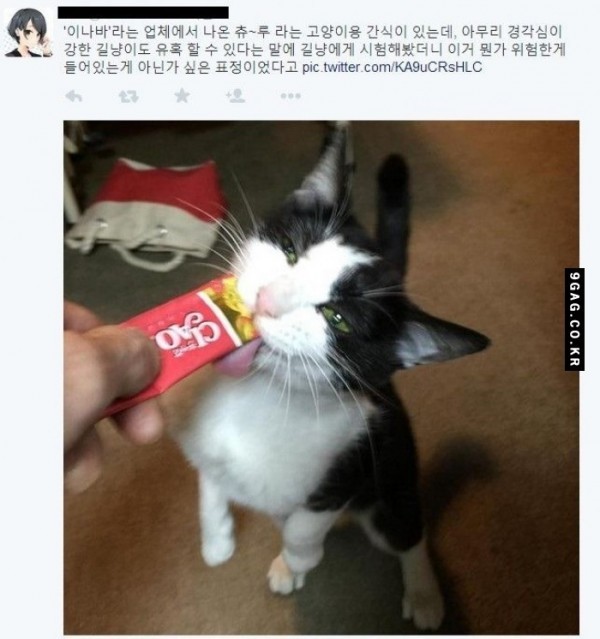 인간의 쾌감수치.jpg | 인스티즈