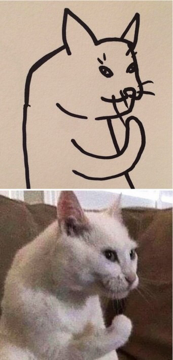 완벽한 고양이 묘사.jpg | 인스티즈
