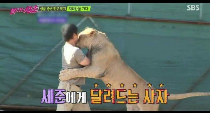 남자연예인 허세.jpg | 인스티즈