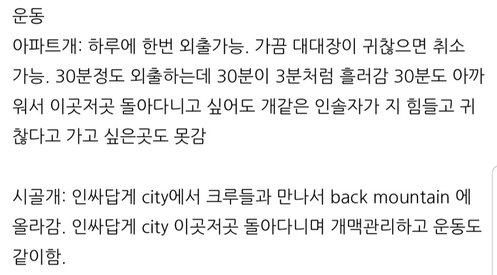 아파트개와 시골개의 라이프스타일 차이 | 인스티즈