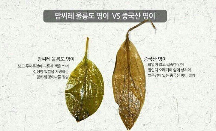 명이나물 구별법 | 인스티즈