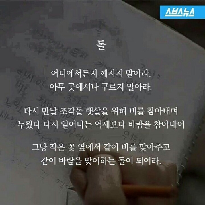 8041:1 을 뚫고 대상을 탄 문학영재소년 | 인스티즈
