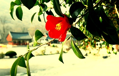 누군가를 좋아하면 시간은 둘로 나뉜다 | 인스티즈