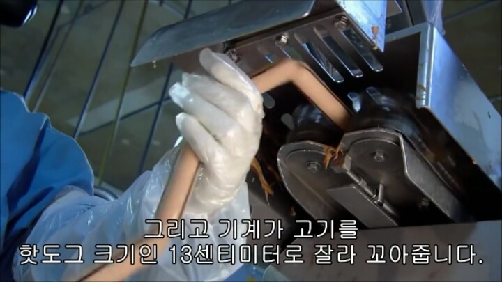 핫도그 소시지가 만들어지는 과정-1 | 인스티즈