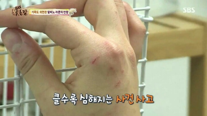 힘들게 일하는 여자 사육사ㅠㅠ.jpg | 인스티즈