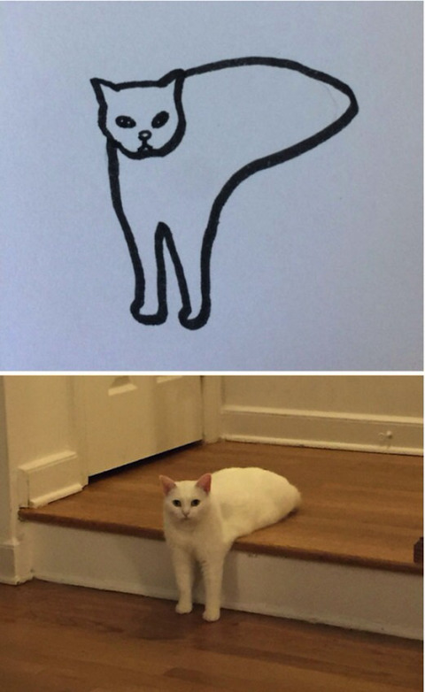 완벽한 고양이 묘사.jpg | 인스티즈