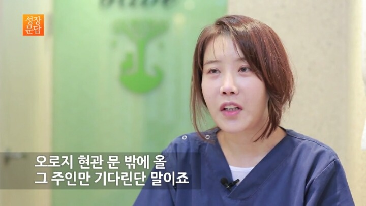 반려동물 키우기를 쉽게 생각하는 사람이 반드시 들어야 할 대답 | 인스티즈