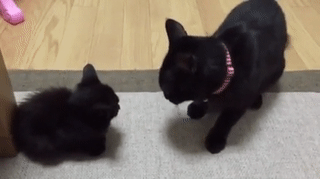 초당 97대를 때리는 무시무시한 괴수.gif | 인스티즈