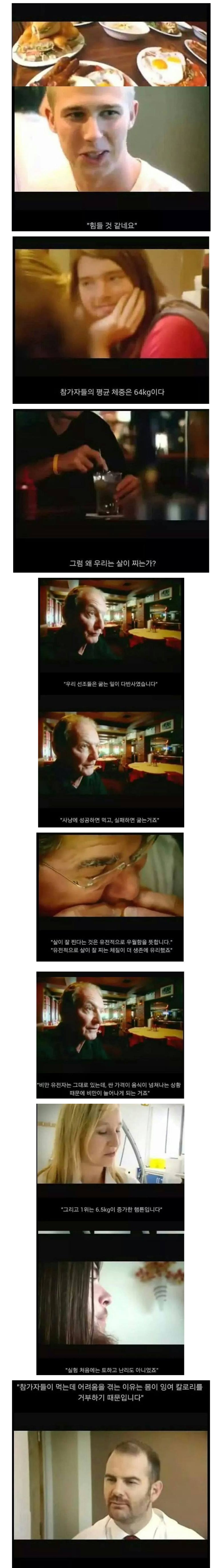 살이 안찌는 사람에 대한 실험 | 인스티즈