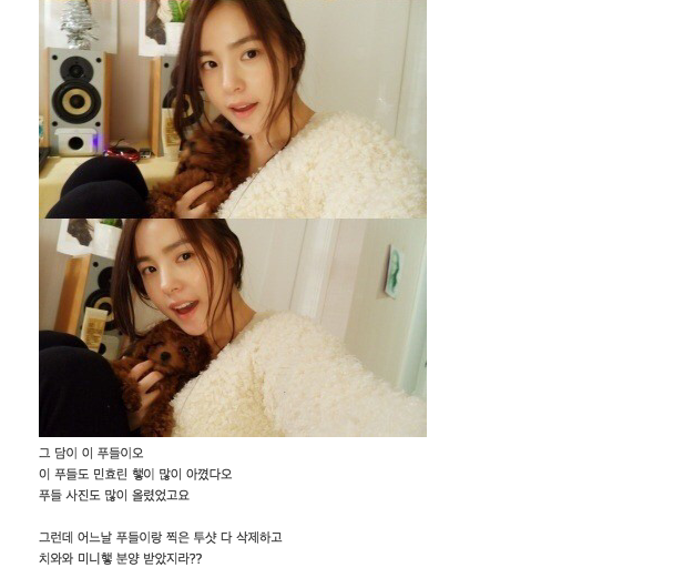 악플 엄청 받고 있는 민효린 반려 동물 사건 정리 글.......jpg | 인스티즈