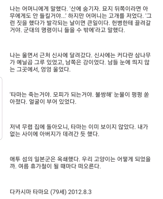 태평양 전쟁 당시 일본의 민간 고양이 공출... (사진주의) | 인스티즈