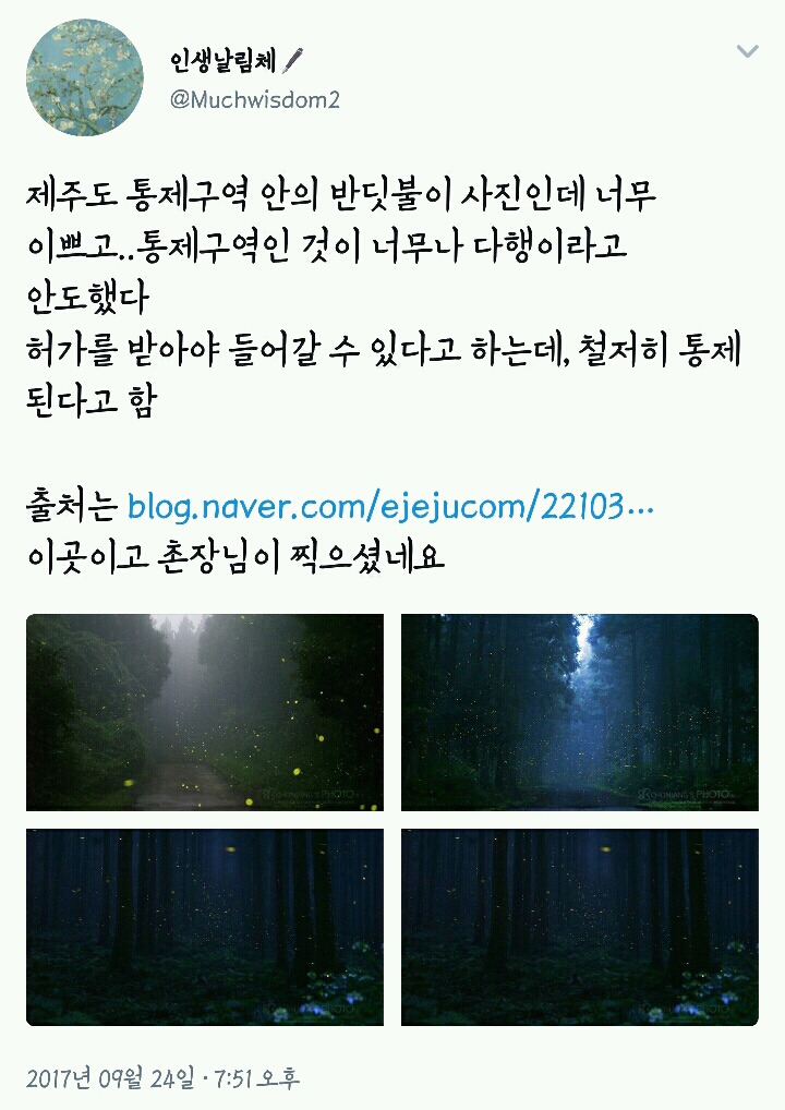 엄격하게 통제되고있는 제주도의 한 통제구역 | 인스티즈