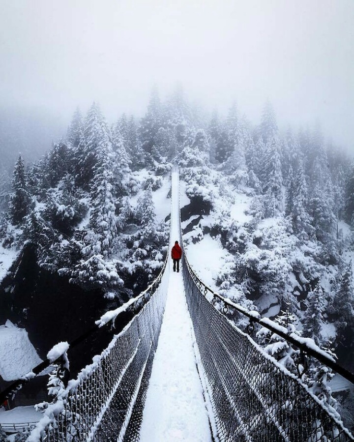 탐험가의 사진 | 인스티즈