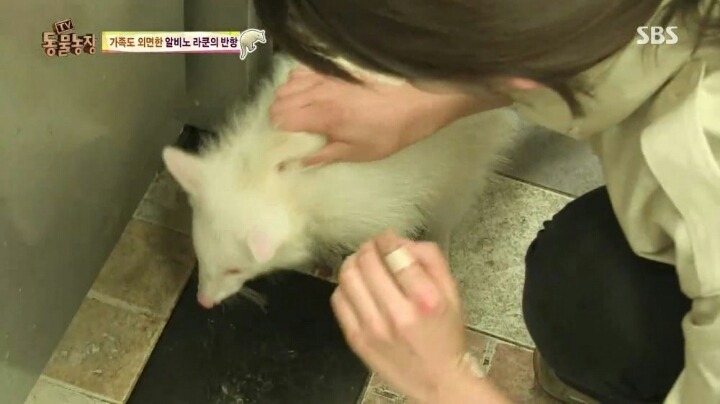 힘들게 일하는 여자 사육사ㅠㅠ.jpg | 인스티즈