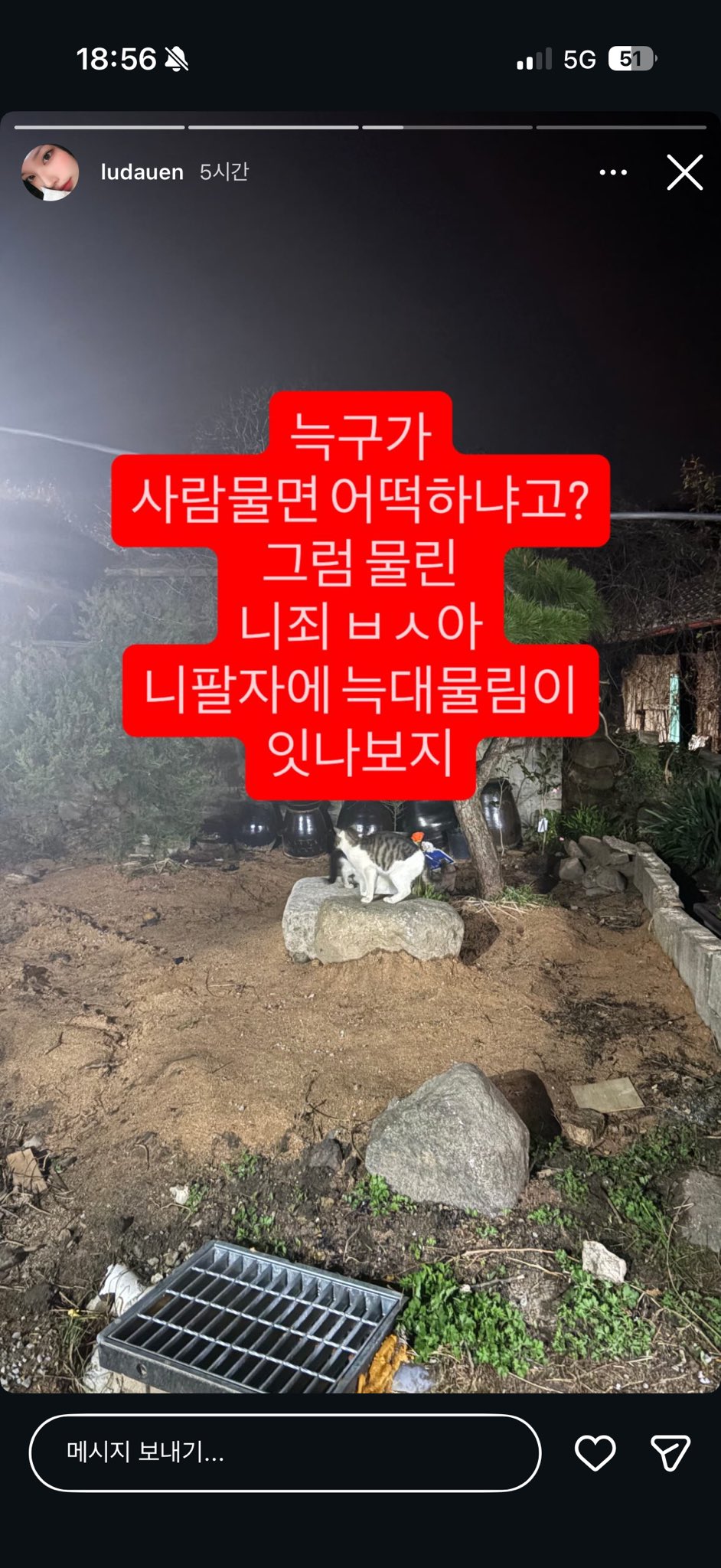 늑구가 사람 물면 어떡함? | 인스티즈