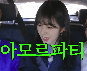 아이린의 기묘한 자동차 여행.gif | 인스티즈