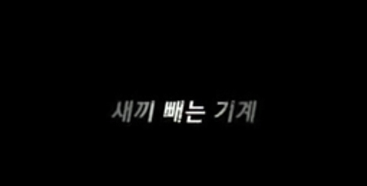 충격적인 강아지 공장 실태(서명운동) | 인스티즈