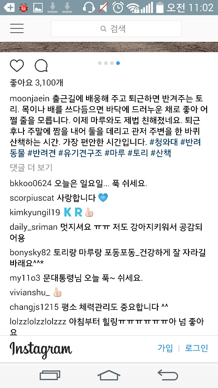 문재인 대통령 인스타그램 마루 토리 산책 | 인스티즈