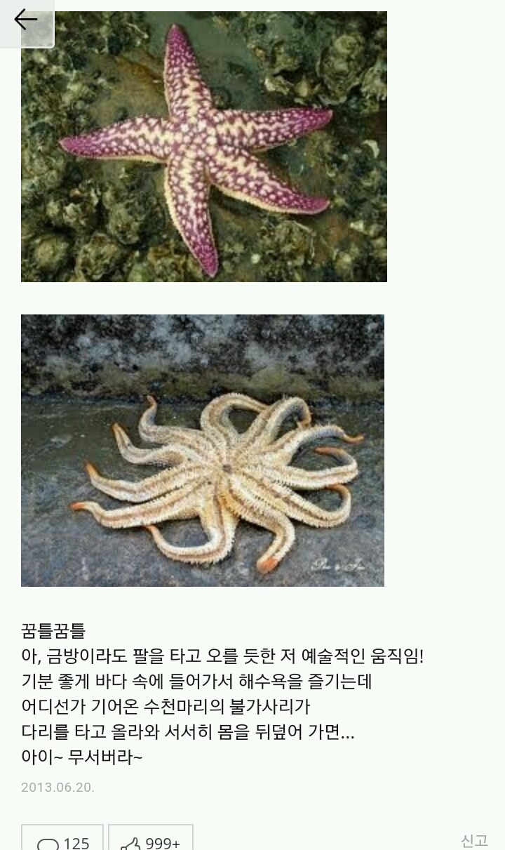 지식인 레전드 모음ㅋㅋㅋㅋㅋㅋ | 인스티즈
