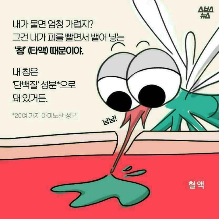 모기에 대해 | 인스티즈