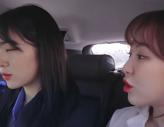 아이린의 기묘한 자동차 여행.gif | 인스티즈